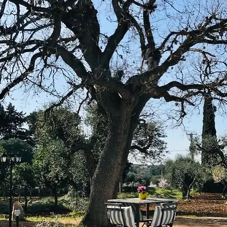 Hébergement de vacances Trulli Di Mercedes *