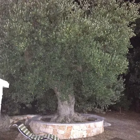 Trulli Di Mercedes Hébergement de vacances Triggianello
